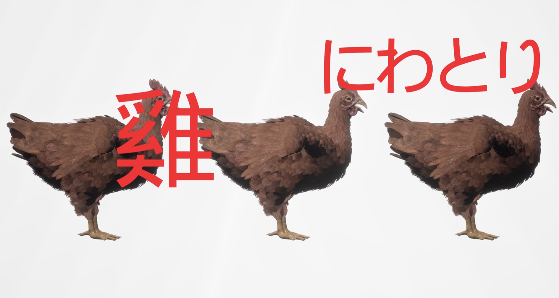 Chicken multilingual title card — 雞 / にわとり